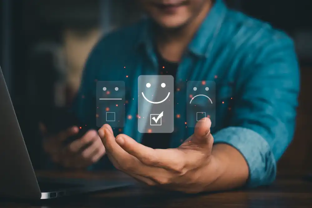 MSCL delivering software development solutions as IT Consultant